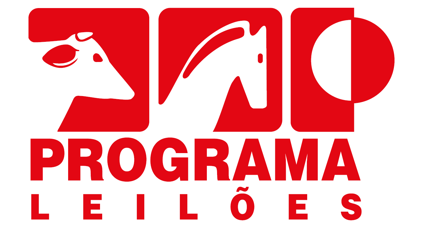 Programa Leilões